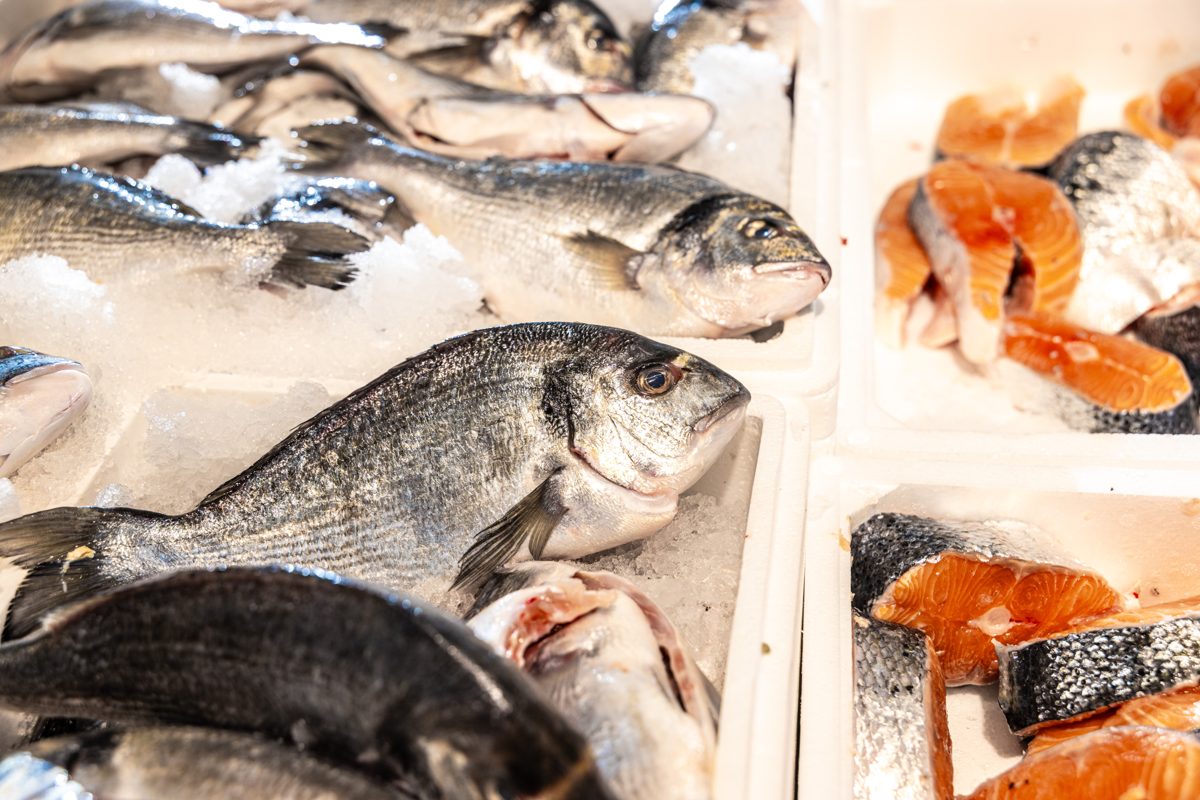 Doraden und Lachssteaks in unserer Fischtheke